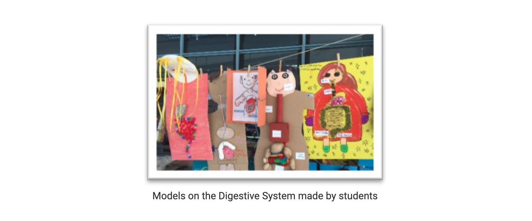 Colorful handmade cardboard and paper models of the human digestive system hung on a line.